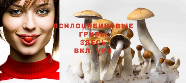 бошки Белокуриха