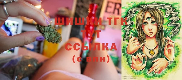 бошки Белокуриха